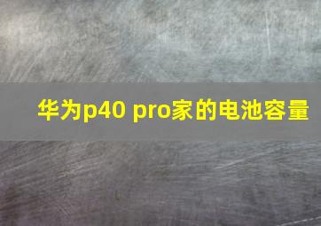 华为p40 pro家的电池容量